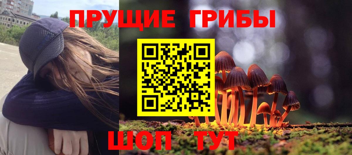 Псилоцибиновые грибы мухоморы Зеленогорск