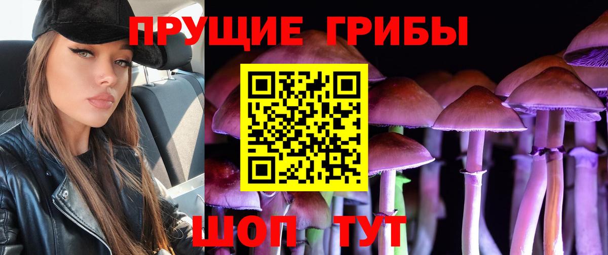 Галлюциногенные грибы ЛСД  Псилоцибиновые грибы Magic Shrooms  где купить наркоту  Вход с VPN  Зеленогорск 