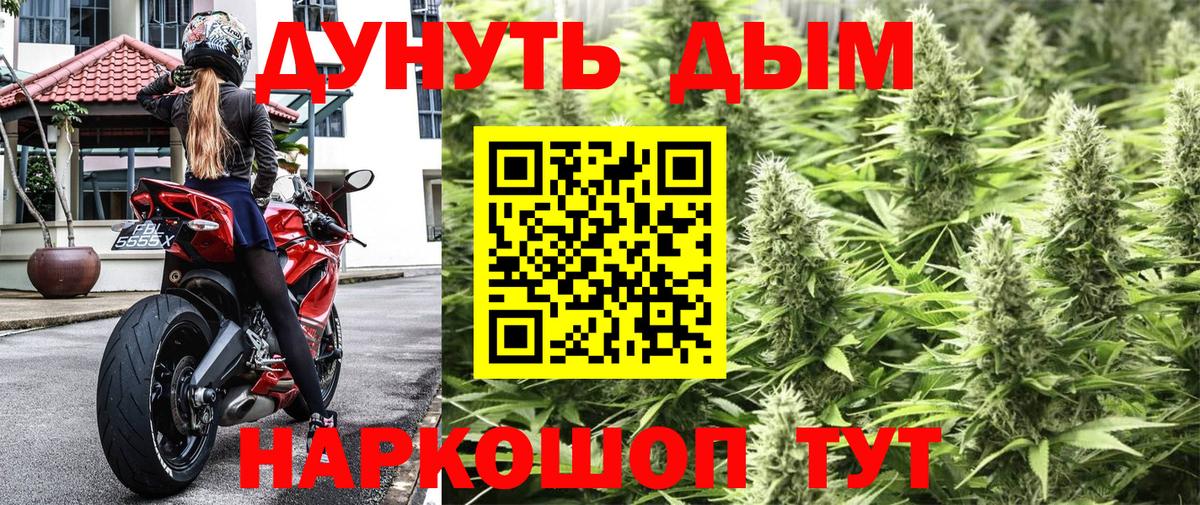 Марихуана индика  Шишки марихуана план  Зеленогорск  Марихуана конопля  Вход с VPN 